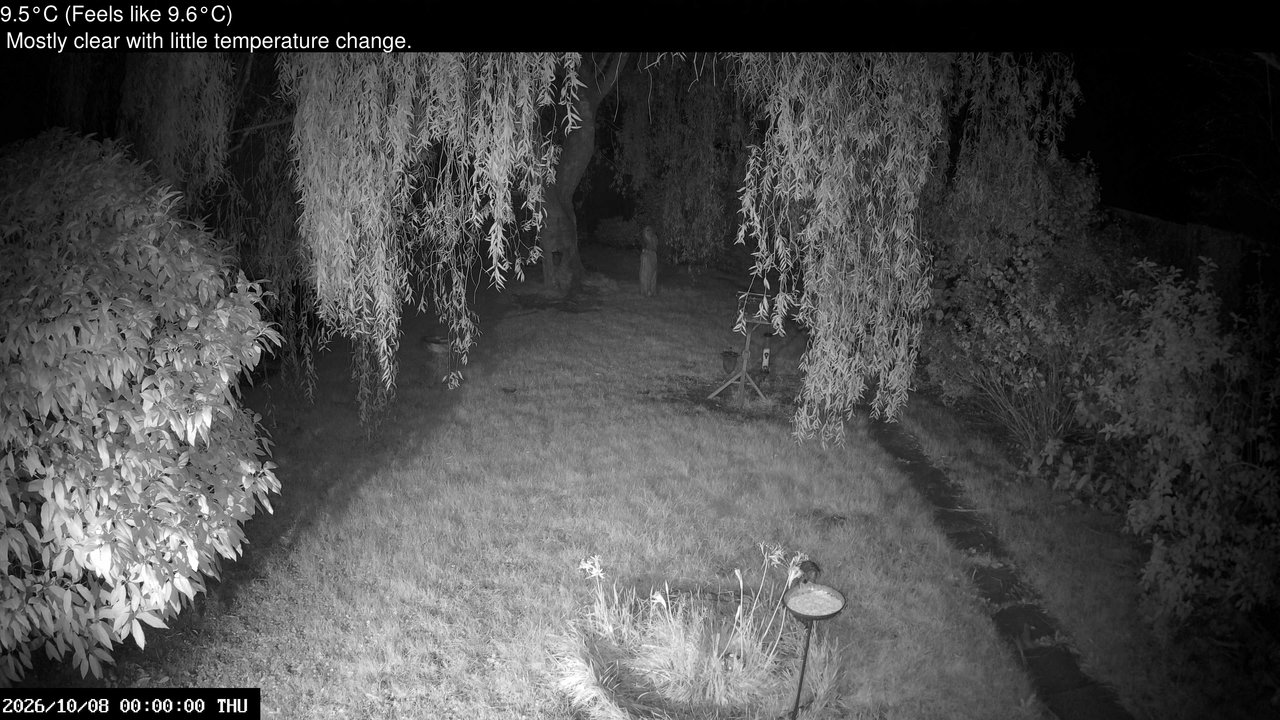time-lapse frame, Wembury, Devon. Garden Cam webcam