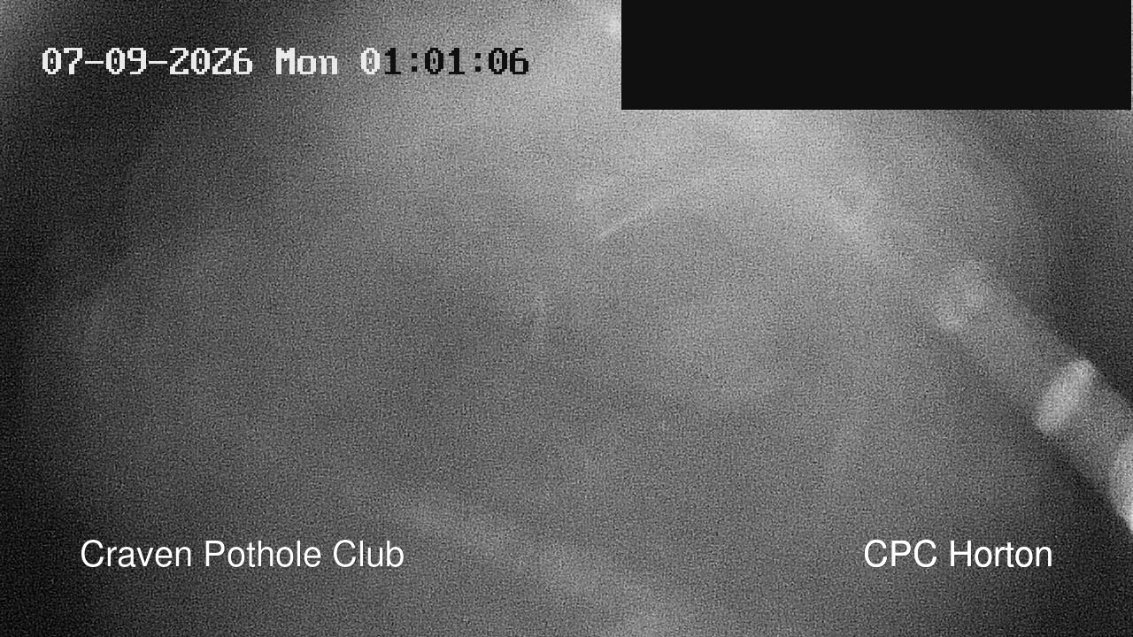 time-lapse frame, HortonBrantsGillCam webcam
