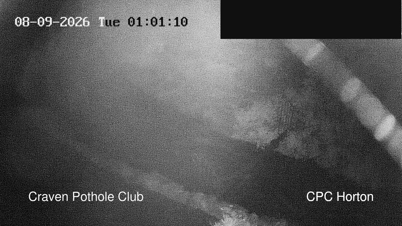 time-lapse frame, HortonBrantsGillCam webcam