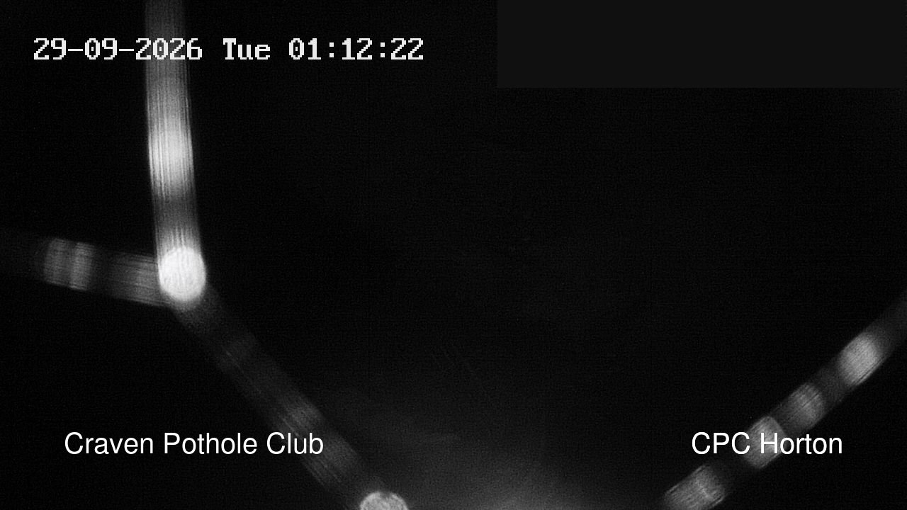 time-lapse frame, HortonBrantsGillCam webcam