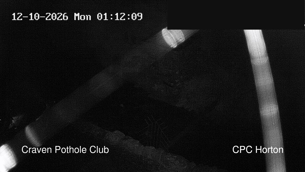 time-lapse frame, HortonBrantsGillCam webcam