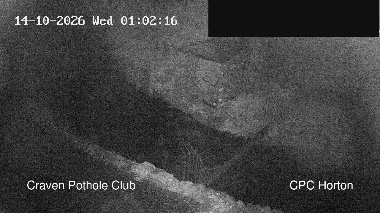 time-lapse frame, HortonBrantsGillCam webcam