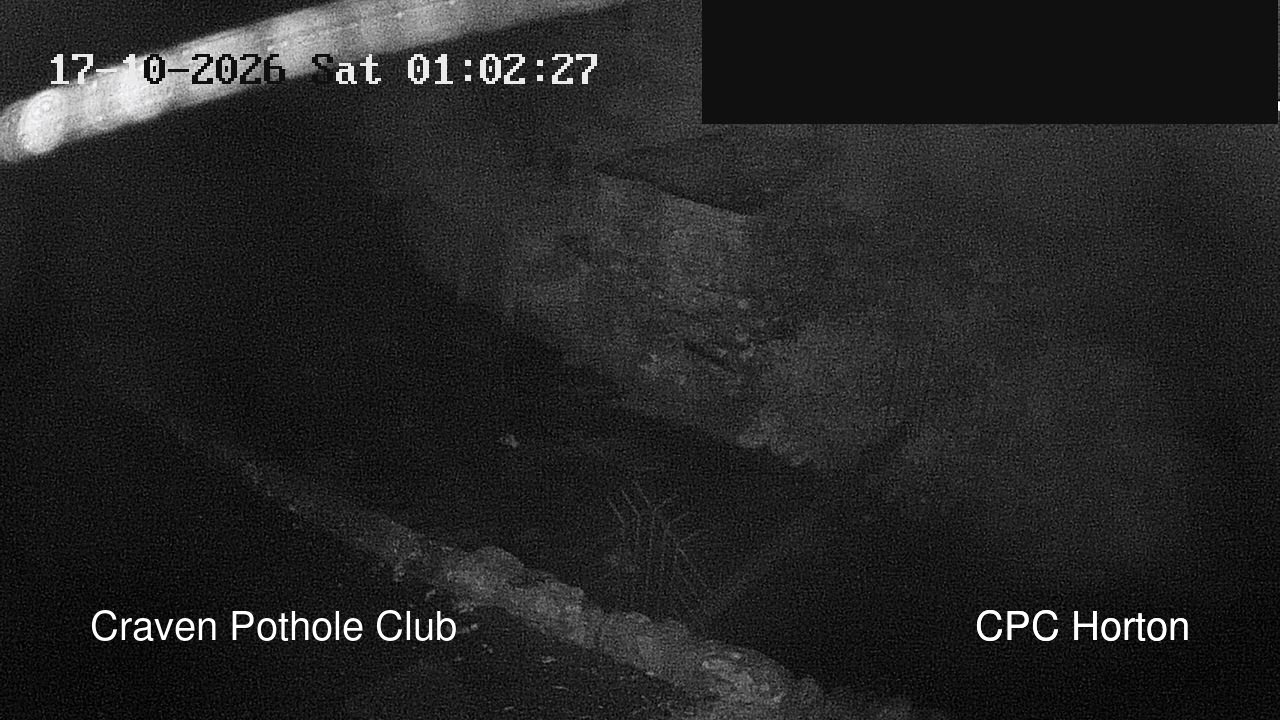 time-lapse frame, HortonBrantsGillCam webcam