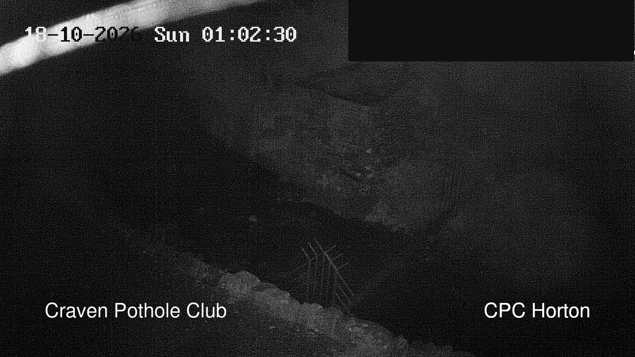 time-lapse frame, HortonBrantsGillCam webcam