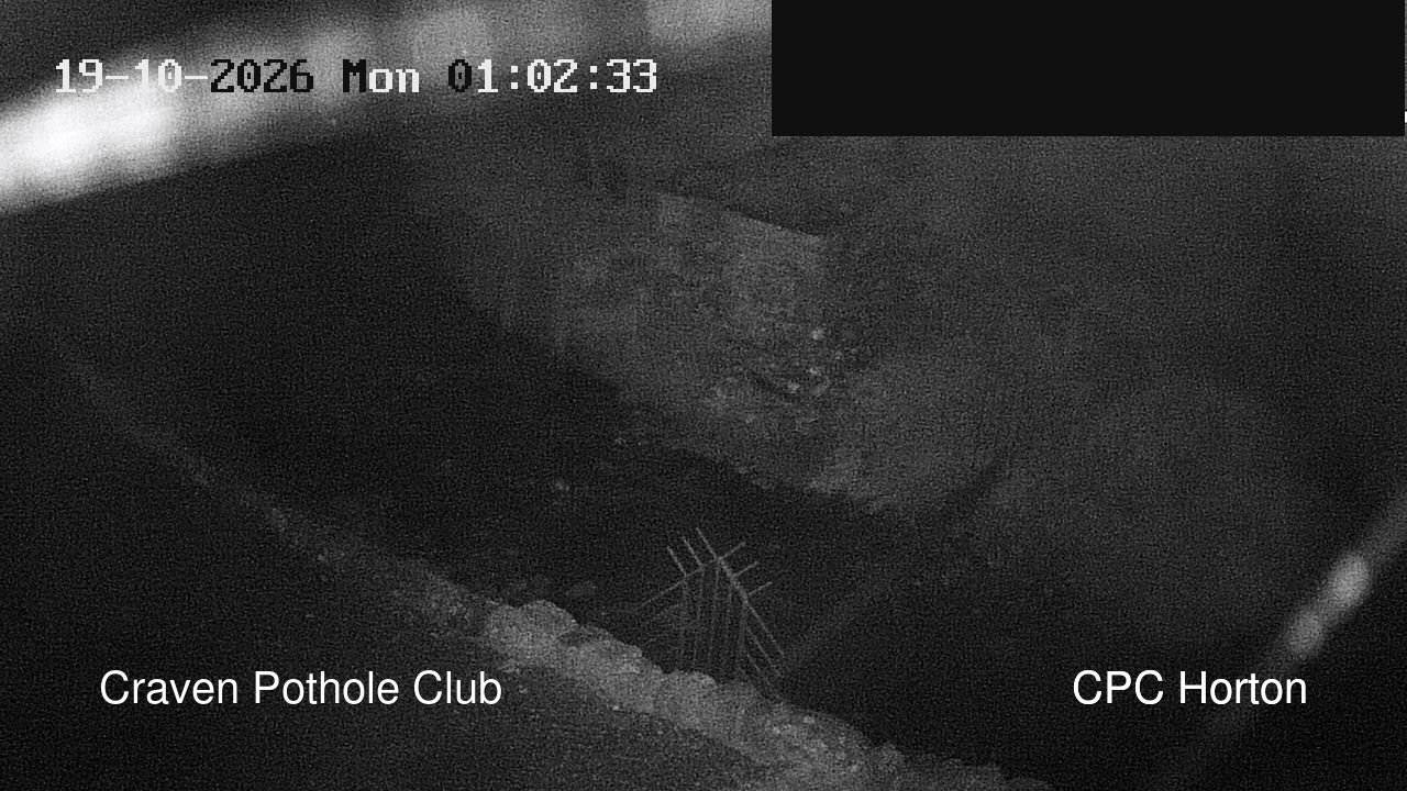 time-lapse frame, HortonBrantsGillCam webcam