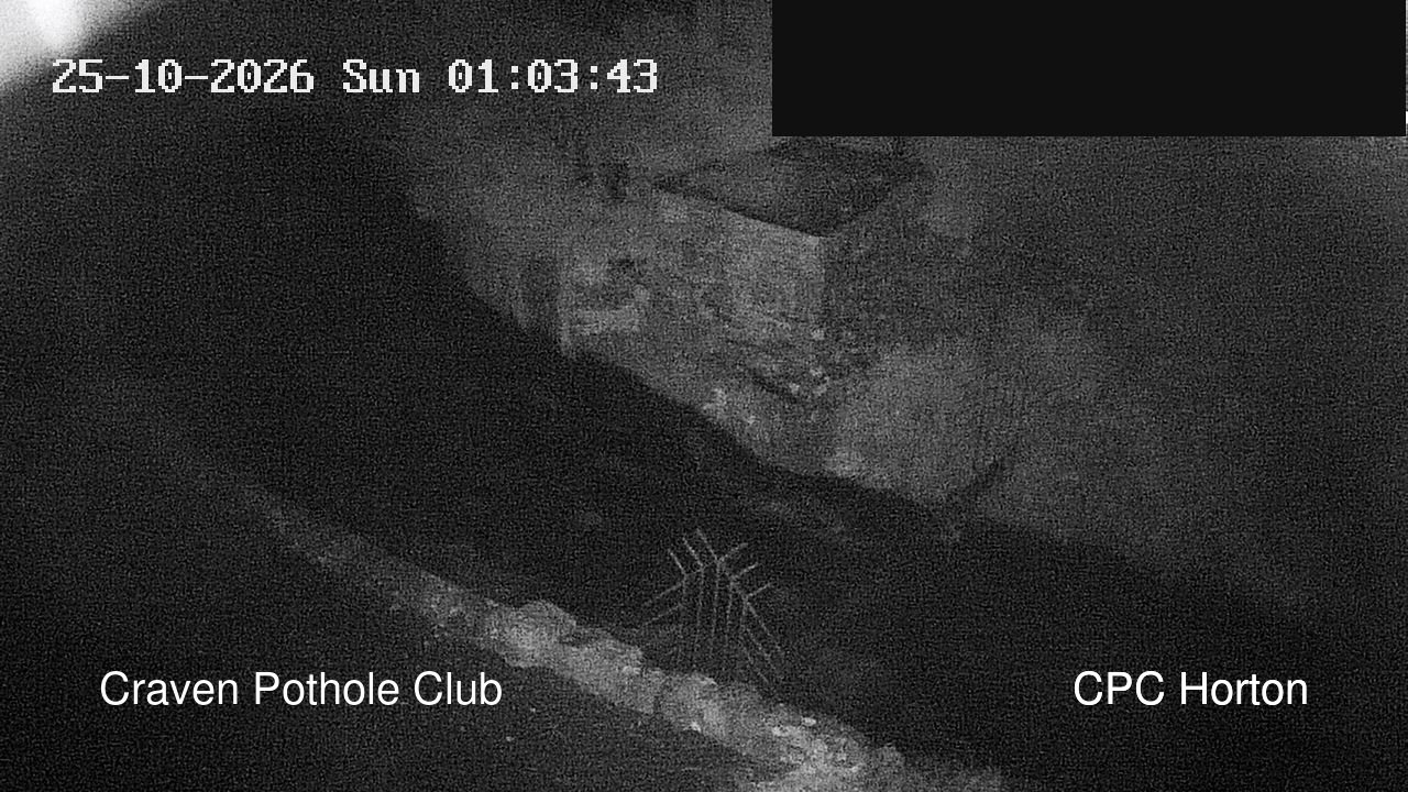 time-lapse frame, HortonBrantsGillCam webcam