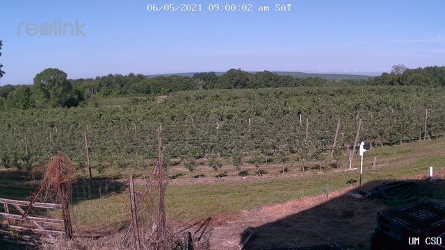 time-lapse frame, UM CSO webcam