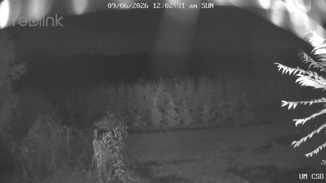 time-lapse frame, UM CSO webcam