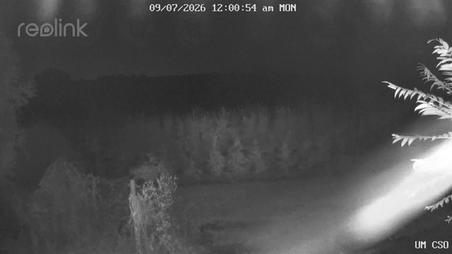 time-lapse frame, UM CSO webcam