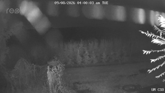time-lapse frame, UM CSO webcam