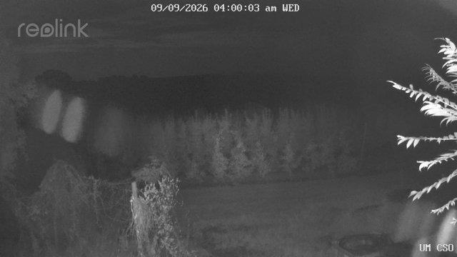 time-lapse frame, UM CSO webcam