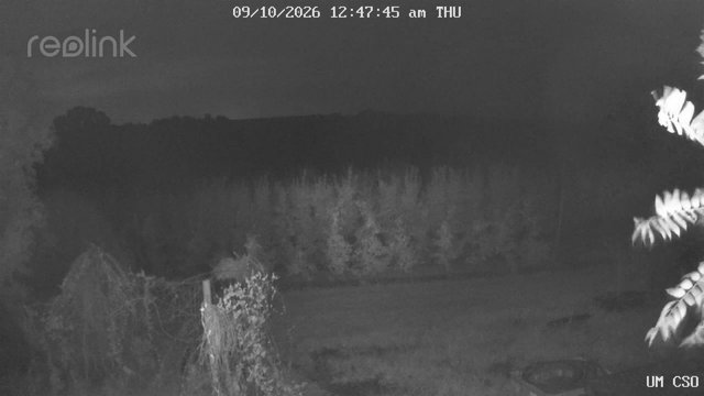 time-lapse frame, UM CSO webcam