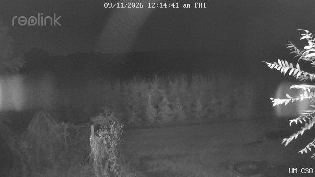 time-lapse frame, UM CSO webcam