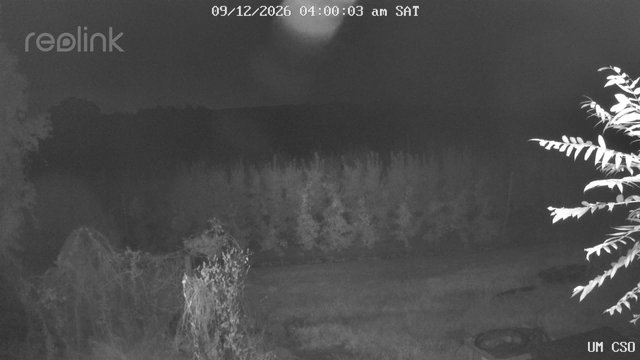 time-lapse frame, UM CSO webcam