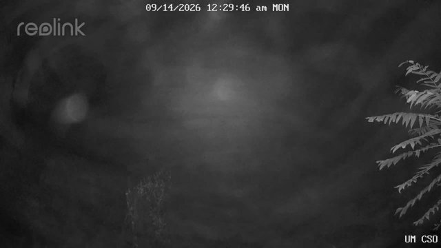 time-lapse frame, UM CSO webcam