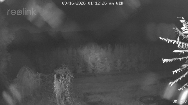 time-lapse frame, UM CSO webcam
