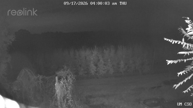 time-lapse frame, UM CSO webcam