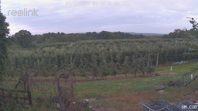 view from UM CSO on 2026-09-17