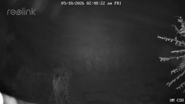 time-lapse frame, UM CSO webcam