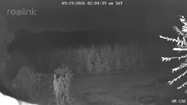 time-lapse frame, UM CSO webcam