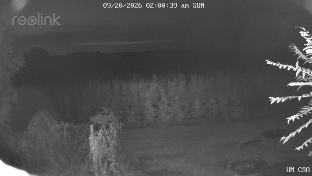 time-lapse frame, UM CSO webcam