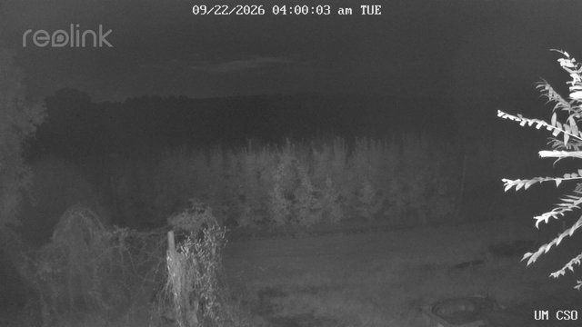time-lapse frame, UM CSO webcam