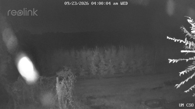 time-lapse frame, UM CSO webcam