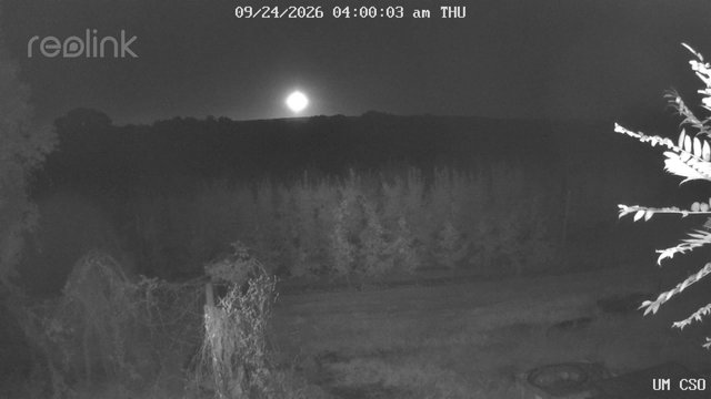 time-lapse frame, UM CSO webcam