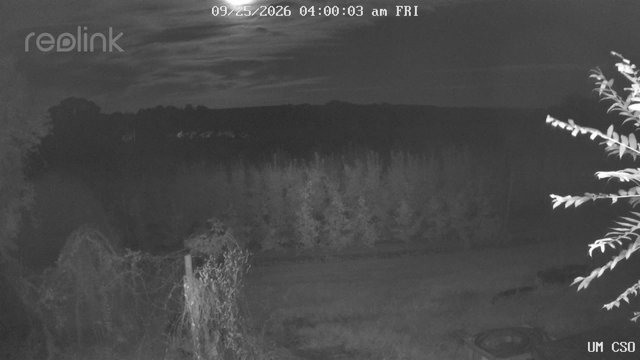 time-lapse frame, UM CSO webcam