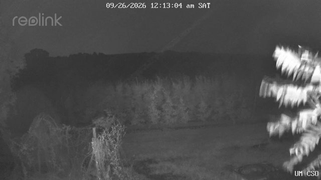 time-lapse frame, UM CSO webcam