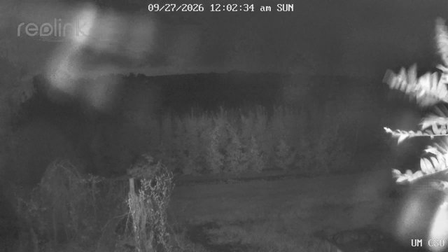 time-lapse frame, UM CSO webcam