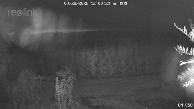 time-lapse frame, UM CSO webcam