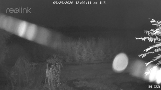 time-lapse frame, UM CSO webcam