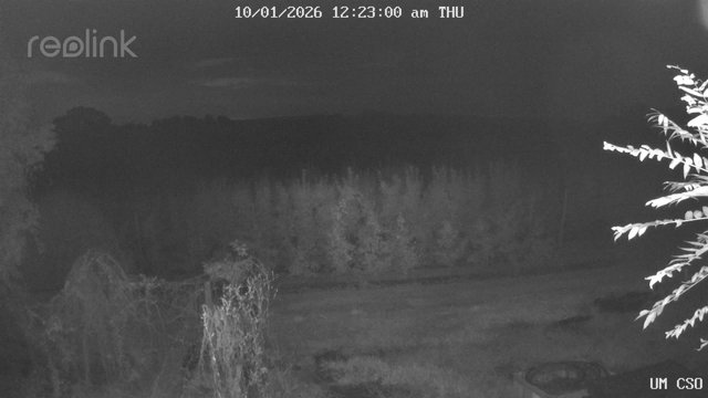 time-lapse frame, UM CSO webcam