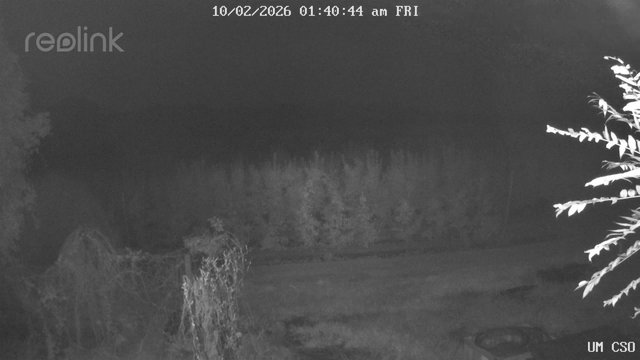 time-lapse frame, UM CSO webcam