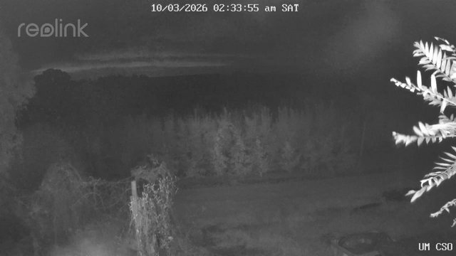 time-lapse frame, UM CSO webcam