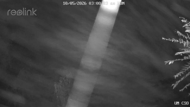 time-lapse frame, UM CSO webcam