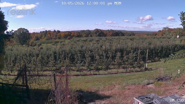 view from UM CSO on 2026-10-05