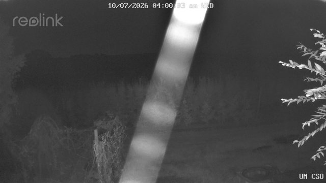 time-lapse frame, UM CSO webcam
