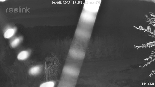 time-lapse frame, UM CSO webcam