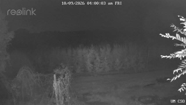 time-lapse frame, UM CSO webcam