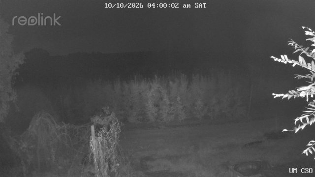time-lapse frame, UM CSO webcam