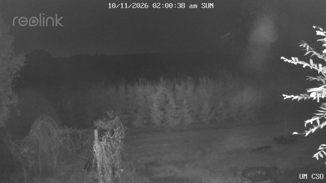 time-lapse frame, UM CSO webcam