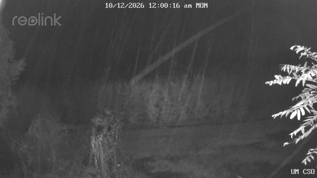 time-lapse frame, UM CSO webcam