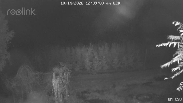 time-lapse frame, UM CSO webcam