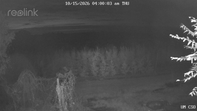 time-lapse frame, UM CSO webcam