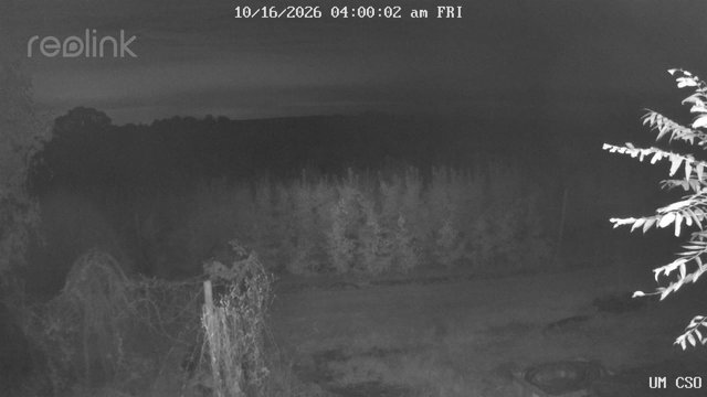 time-lapse frame, UM CSO webcam