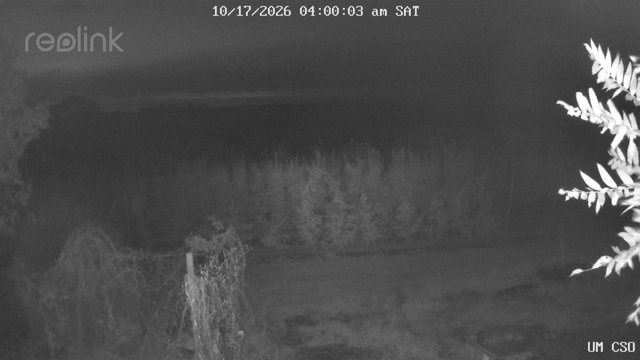 time-lapse frame, UM CSO webcam