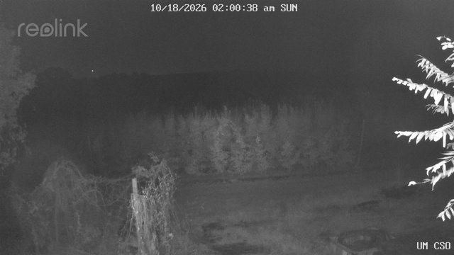 time-lapse frame, UM CSO webcam