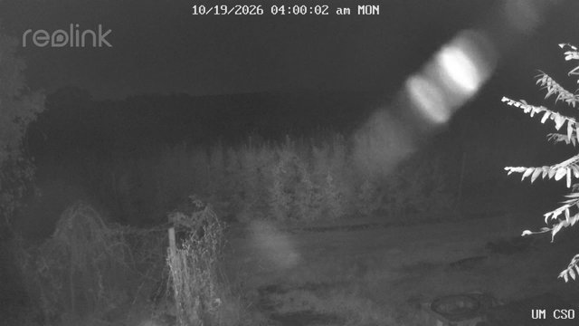 time-lapse frame, UM CSO webcam